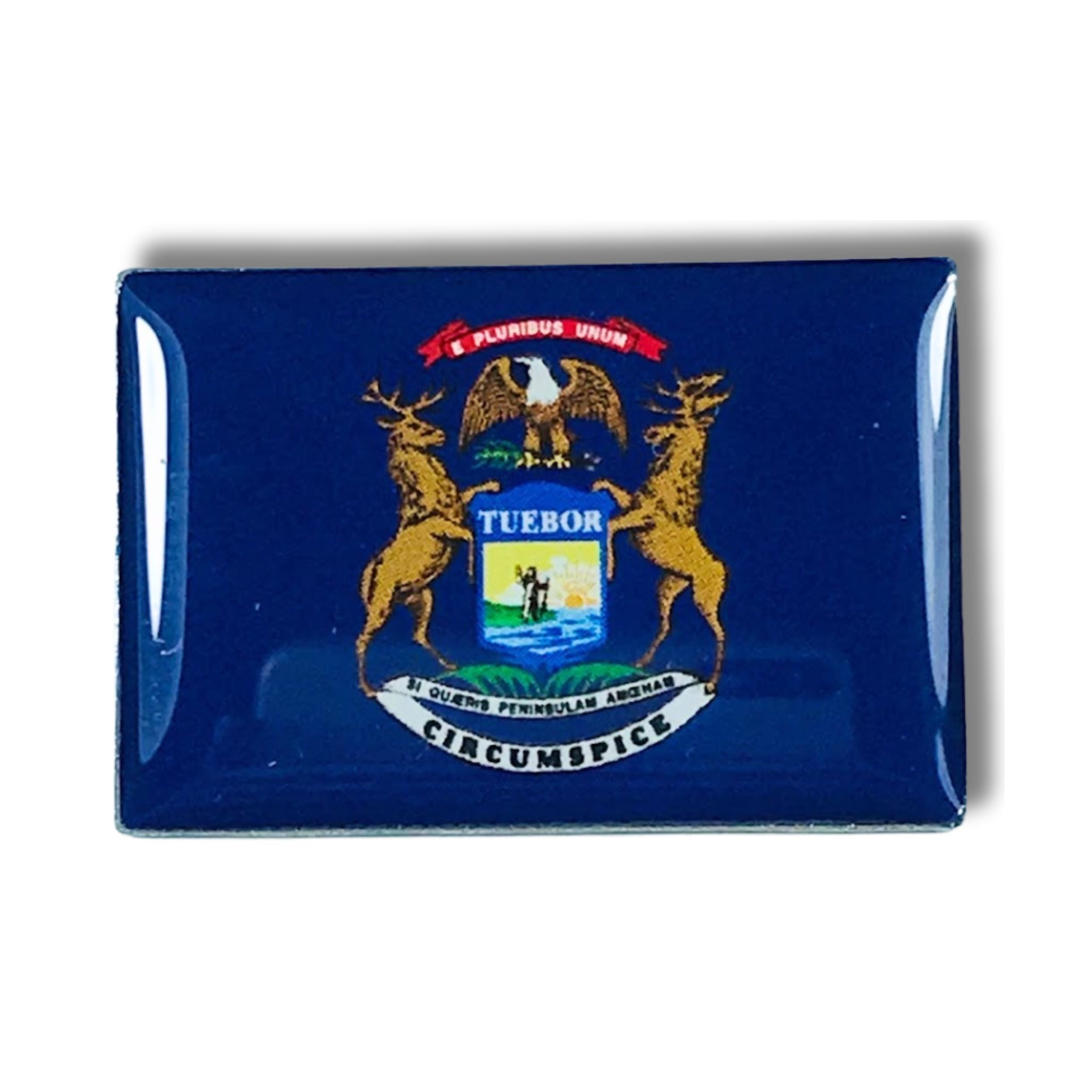 Pin - State Flag Michigan - USA