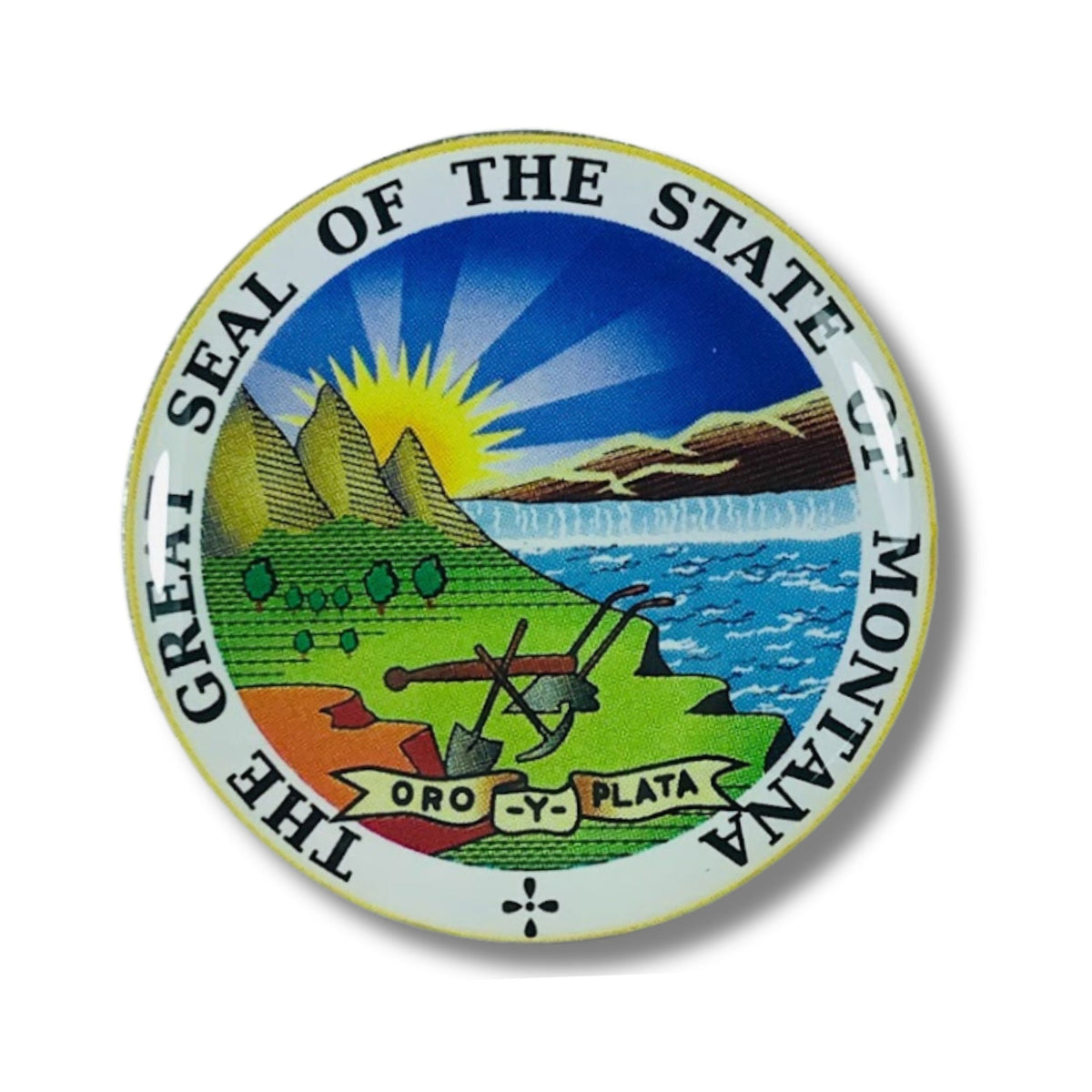 Pin - State Seal Montana - USA